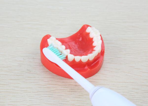 旋轉電動牙刷 旋轉電動牙刷